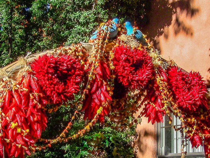 Entranceway covered with ristras