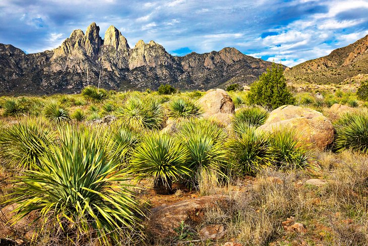 Organ Mountains near Las Cruces