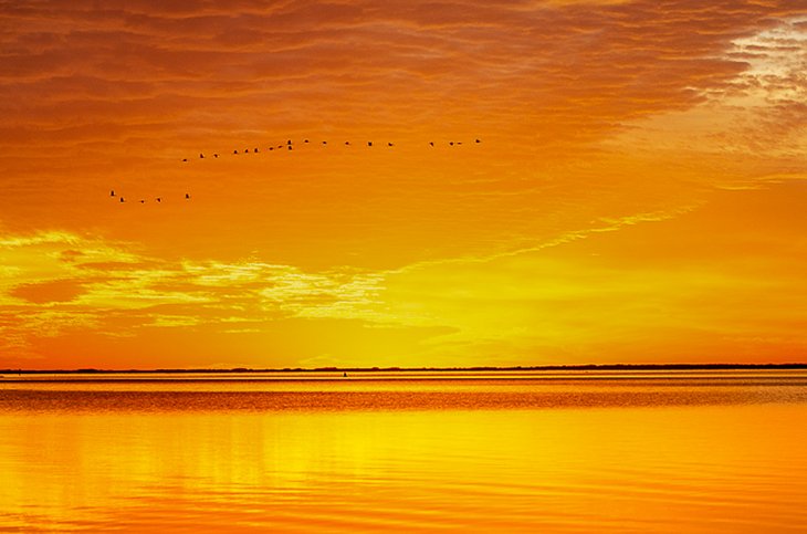 SPI migrations at sunset