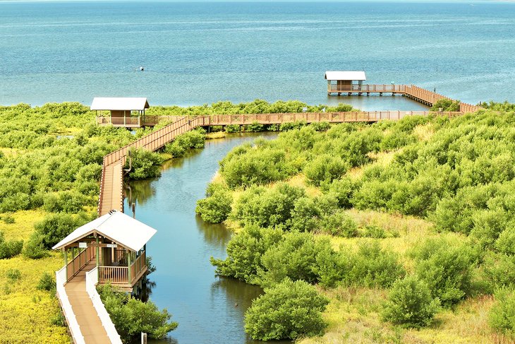 Boardwalks and bird blinds at SPI Birding and Nature Center