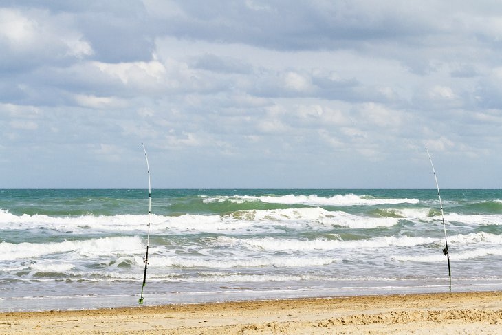 17 cosas mejor valoradas para hacer en South Padre Island, TX