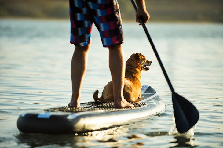 17 cosas mejor valoradas para hacer en South Padre Island, TX