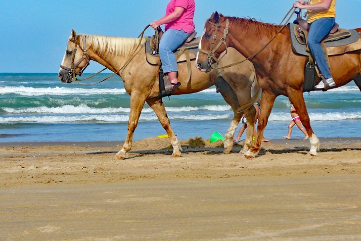 17 cosas mejor valoradas para hacer en South Padre Island, TX