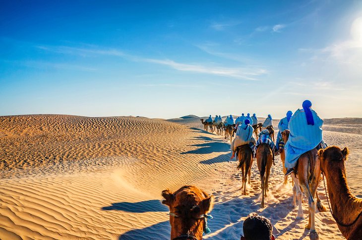 Camel caravan in the Sahara Desert in Tunisia