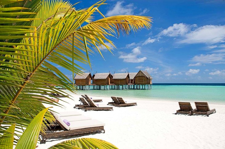 Photo Source: Constance Moofushi