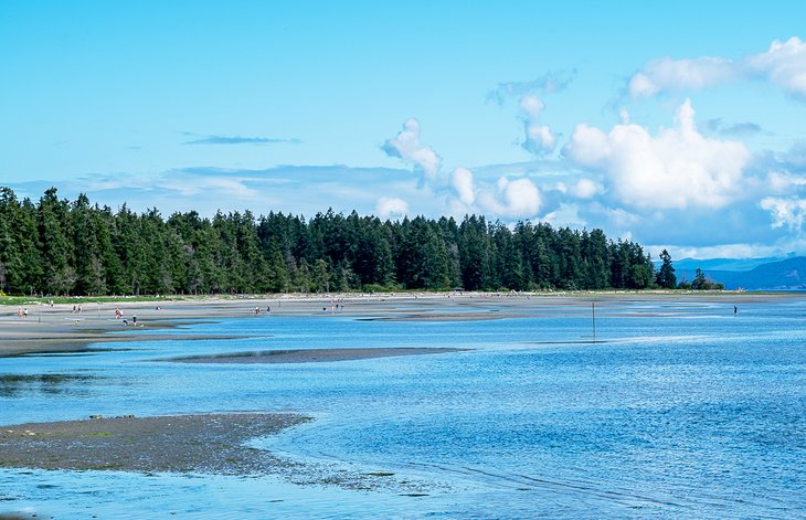 Rathtrevor Beach