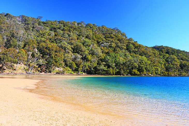 Ku-ring-gai Chase National Park