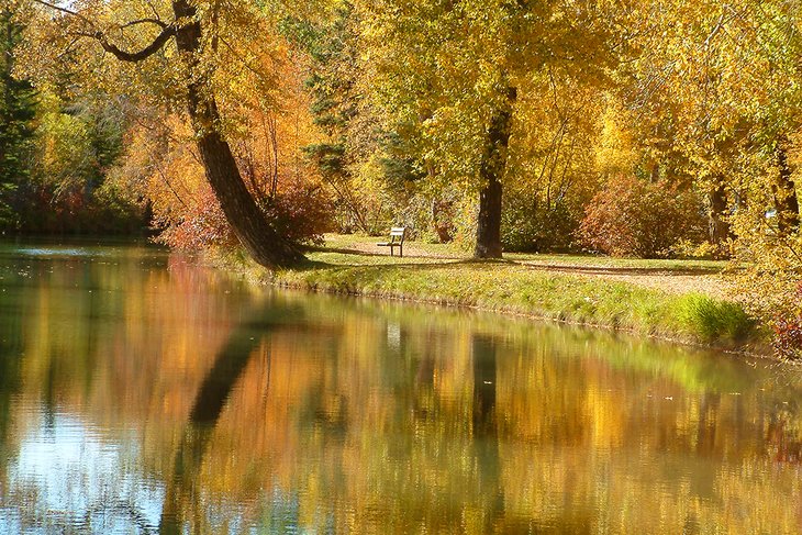 Fall colors at Bowness Park