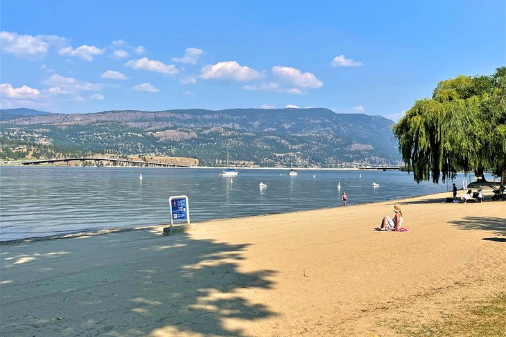 Beach at Strathcona Park