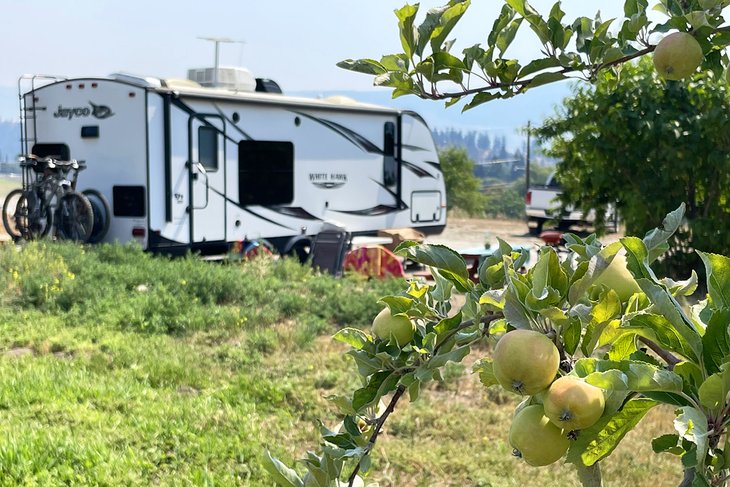 Cueillette de camping à Apple Valley Orchard
