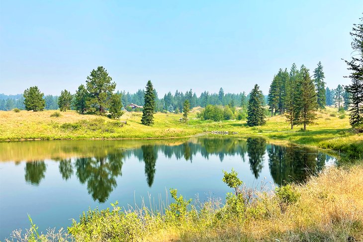 Lake at Arosa Ranch