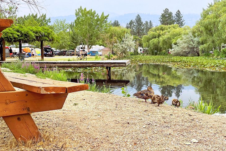 South Beach Gardens Campground