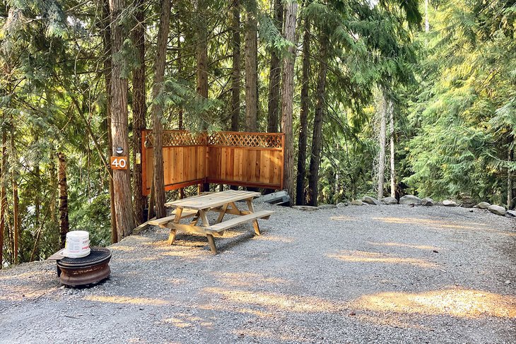 Forest backdrop to Cedar Falls campsite