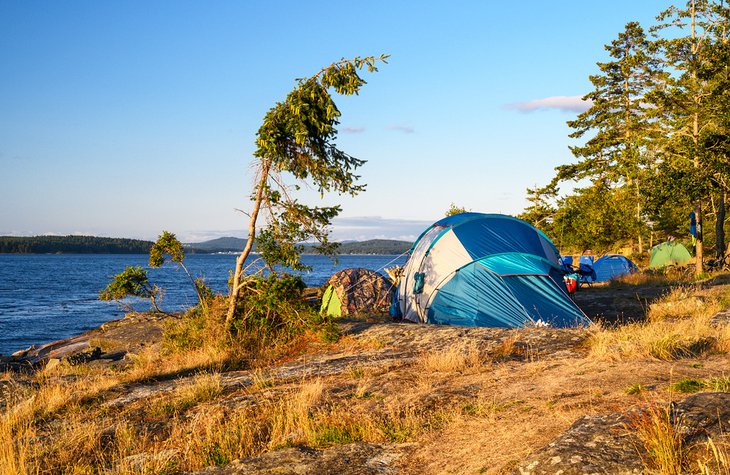 Tents in Ruckle Provincial Park