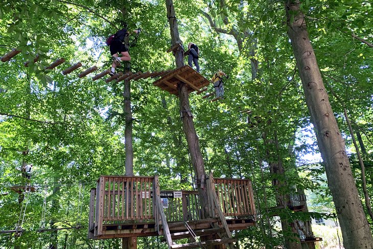 A trail through the trees at the Adventure Park