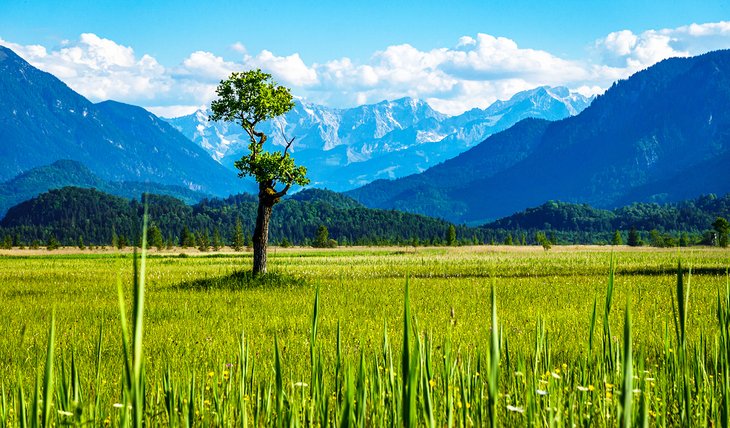 Picturesque landscape at the Murnauer Moos, Murnau am Staffelsee