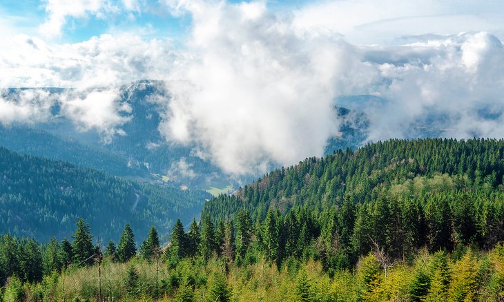 View from the Black Forest High Road