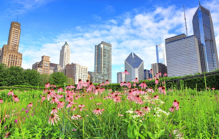 Lurie Garden and the Chicago skyline