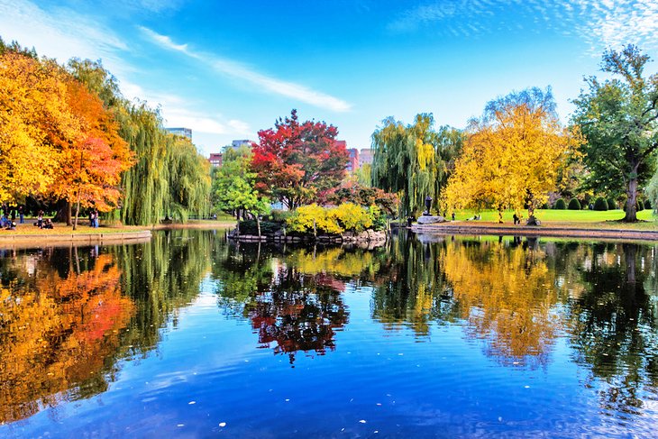 Fall colors in Boston Common