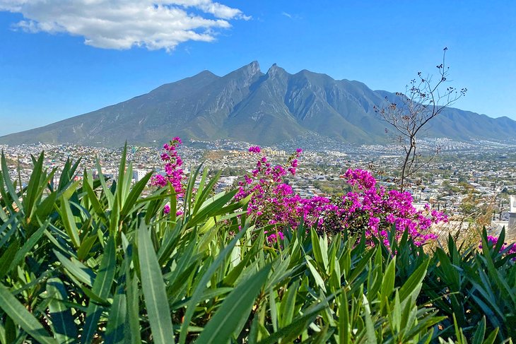 Cerro de la Silla