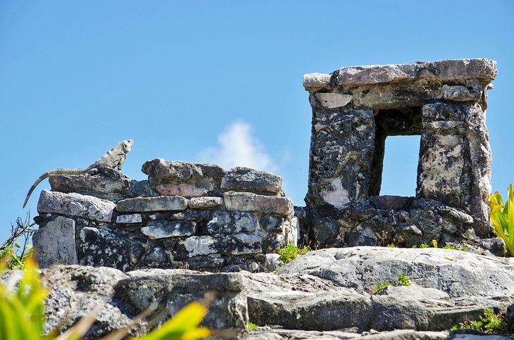 7 cosas que ver y hacer en las ruinas de Tulum