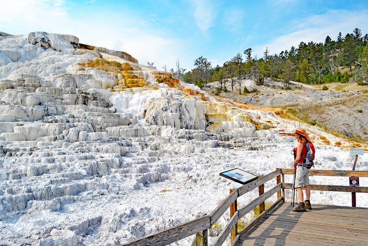 Travertine Terraces at Mammoth Hot Springs, Yellowstone National Park