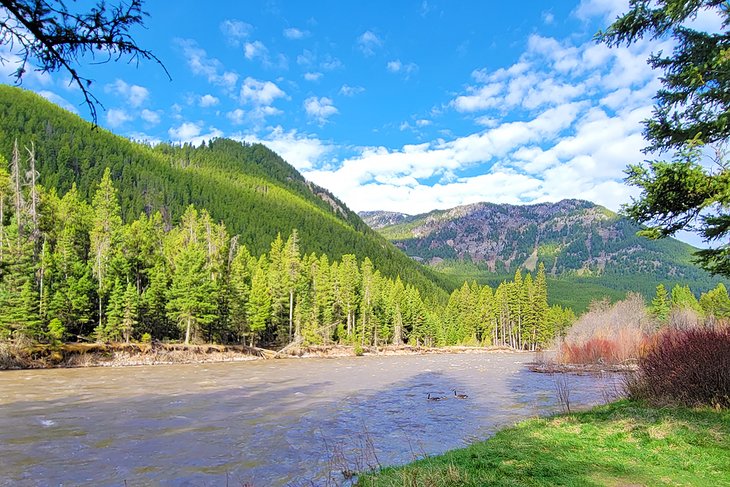 Custer-Gallatin National Forest near Bozeman