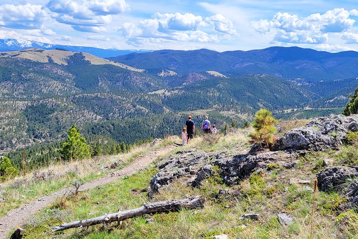 7 mejores bosques nacionales en Montana