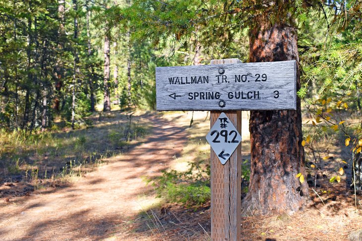 Rattlesnake National Recreation Area, Lolo National Forest