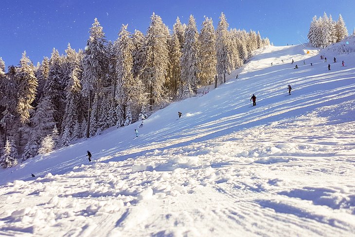 Skiing at Whitefish