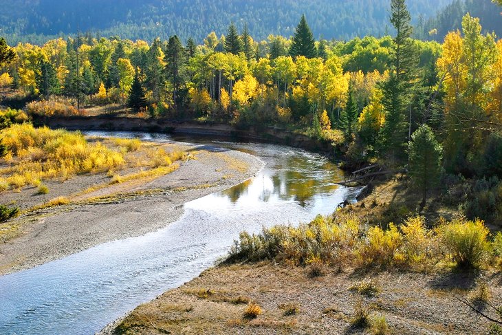 Rivière Blackfoot, forêt nationale de Lolo