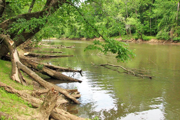 Neuse River, Anderson Point Park