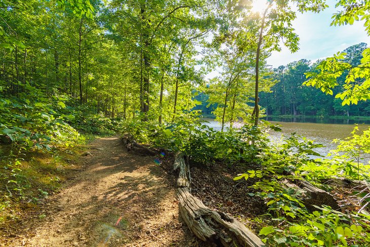 13 mejores parques en Raleigh, NC 13 mejores parques en Raleigh, NC