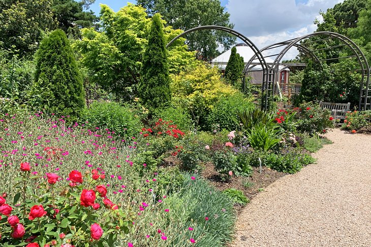 Flower gardens at the JC Raulston Arboretum