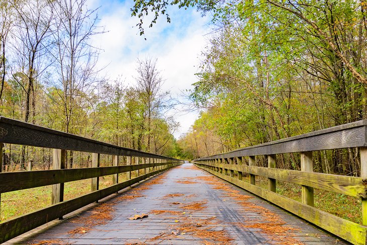 13 mejores parques en Raleigh, NC