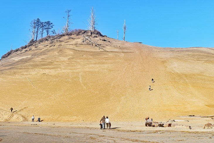 Dune at Cape Kiwanda