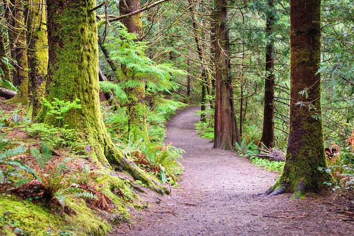 Fort to Sea Trail, Fort Clatsop