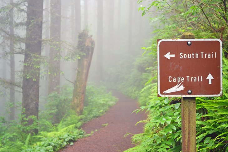 Trail sign at Cape Lookout State Park
