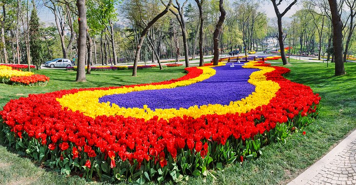 Tulips in Emirgan Park