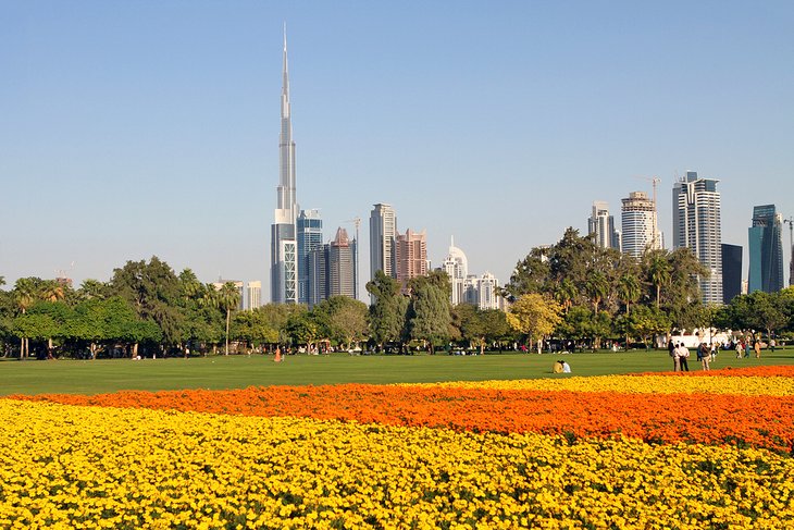 Flowers in Safa Park