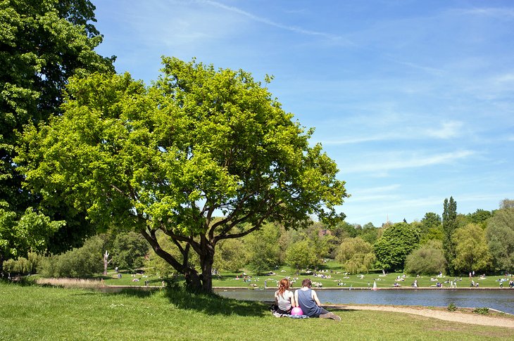 Picnicking at Hampstead Heath