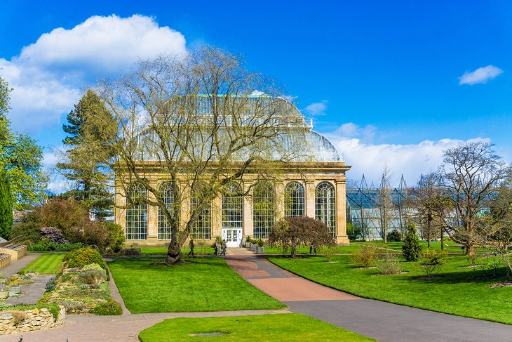 Glasshouse at the Royal Botanic Garden Edinburgh