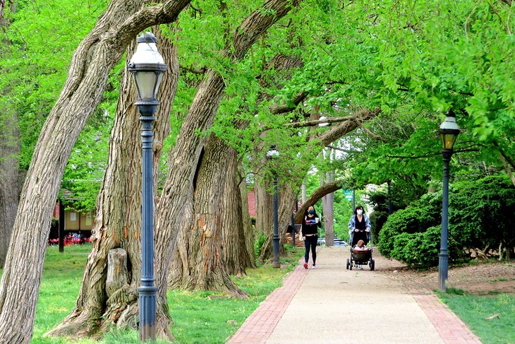 8 mejores parques en Washington, DC