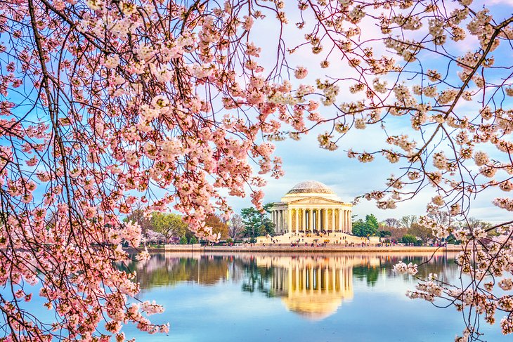 Le Jefferson Memorial sur le Tidal Basin pendant le Cherry Blossom Festival