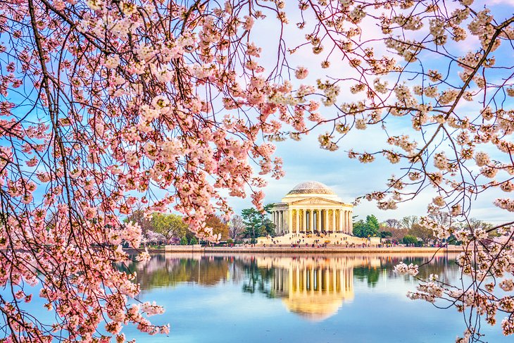 The Jefferson Memorial on the Tidal Basin during the Cherry Blossom Festival