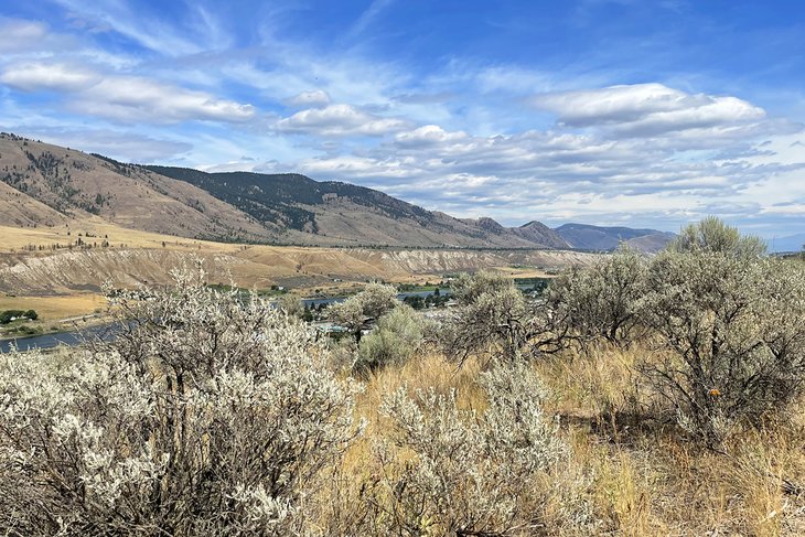 Camping in Kamloops sagebrush country