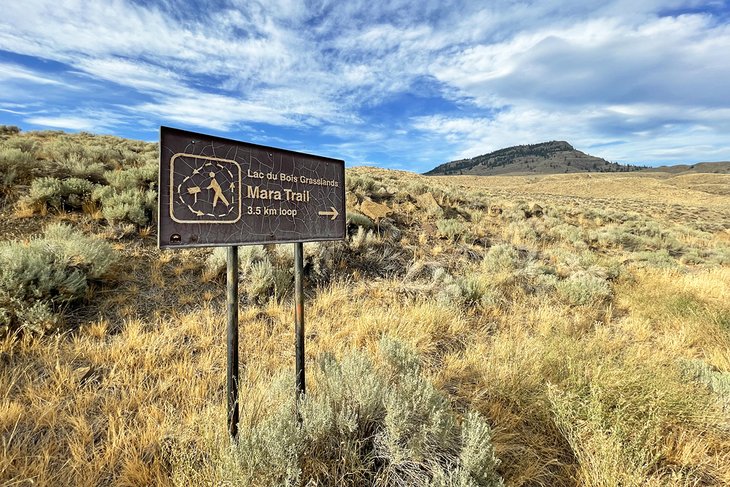 Mara Trailhead