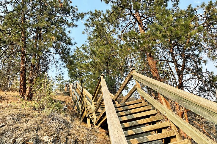 Escaliers à Bear Creek