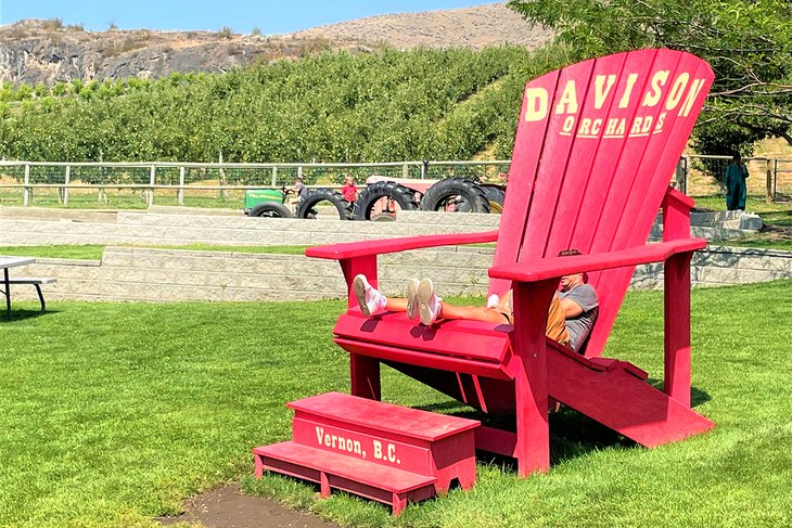 Take a seat at Davison Orchards