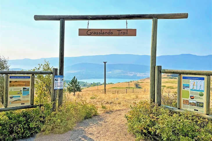 Grasslands Trail